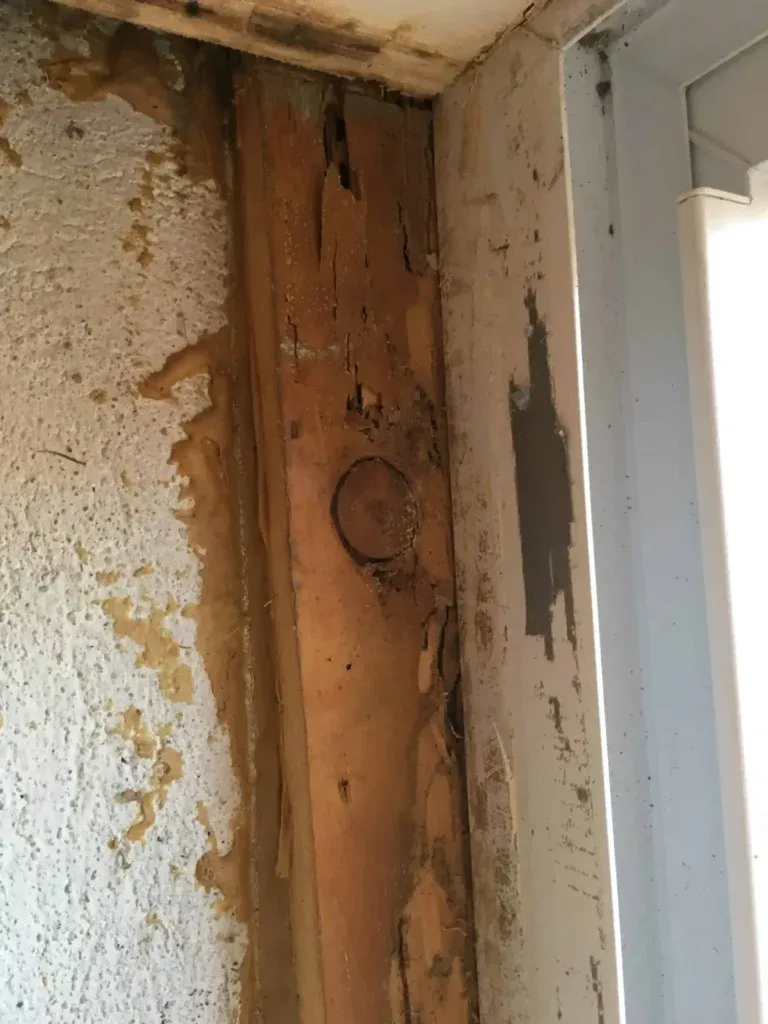 Severe termite and wood rot damage on a structural wooden beam inside a residential property.